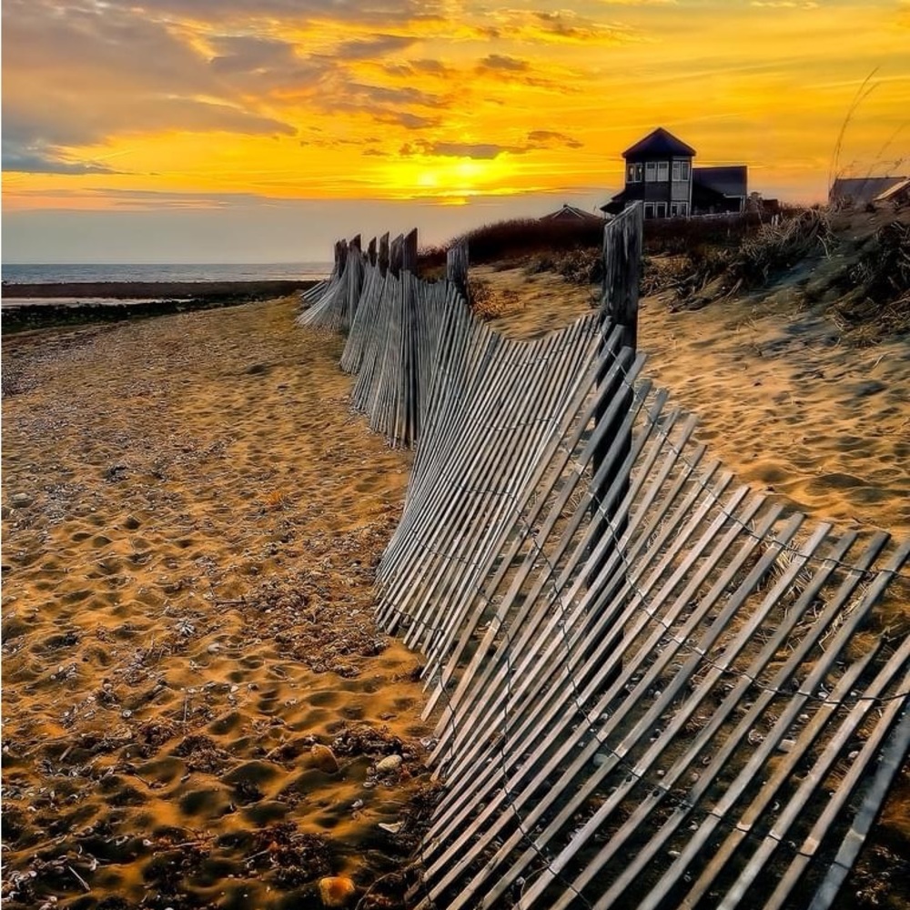 Meet your Posher, Laureen